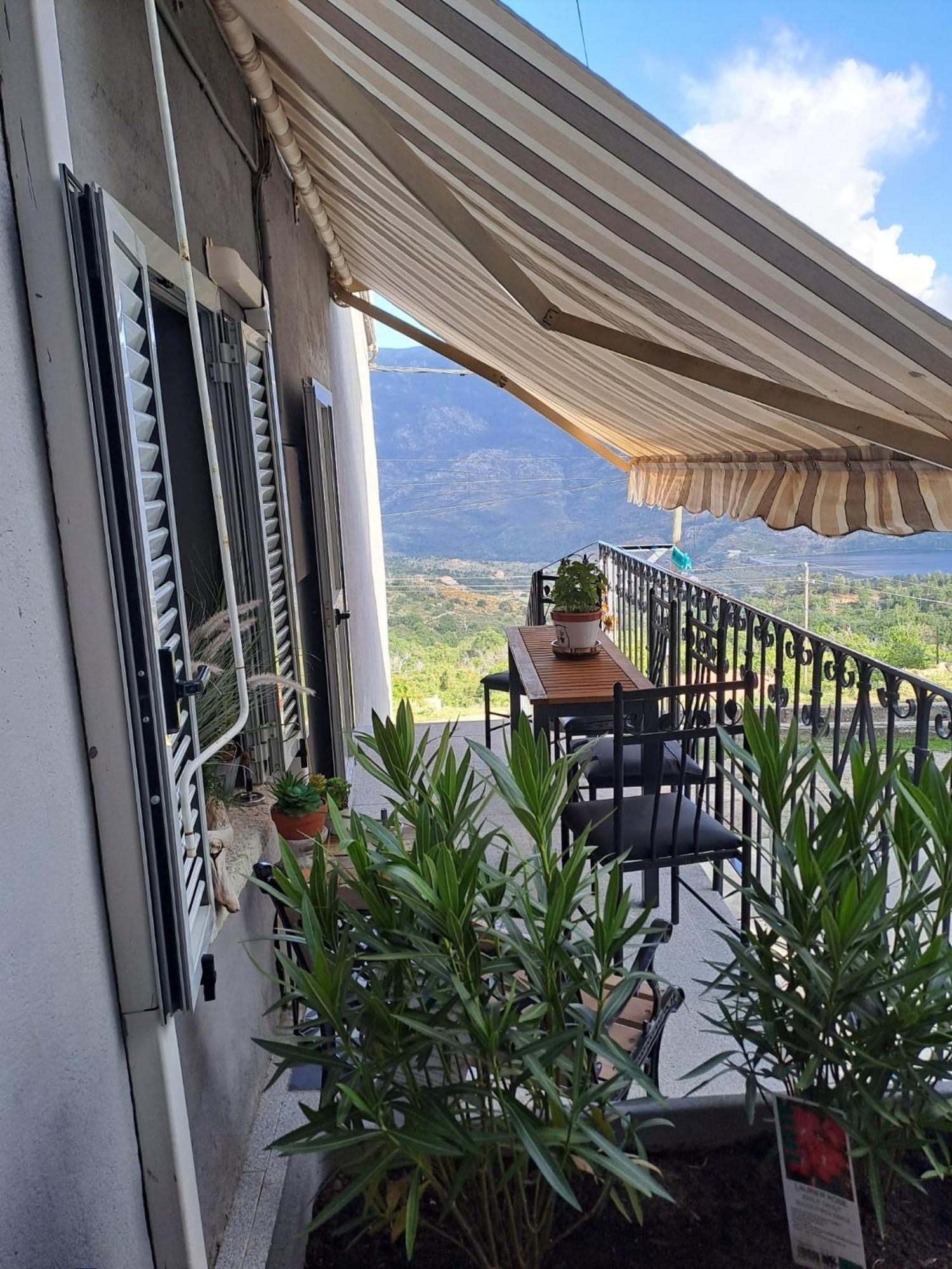 Lozzi Location En Corse Au Pied Du Monte Cintu 아파트 외부 사진